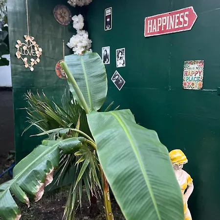 Garden House & Private House With Garden アパート