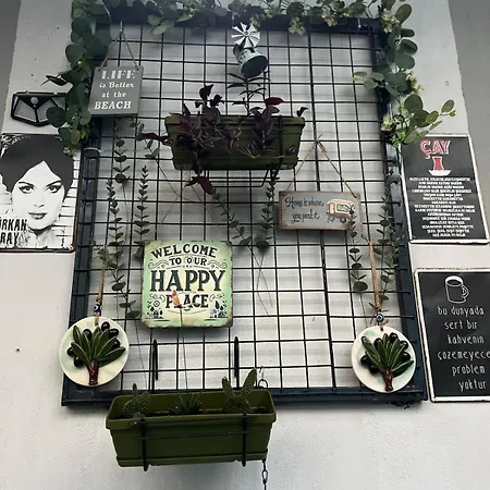 Garden House & Private House With Garden フェティエ