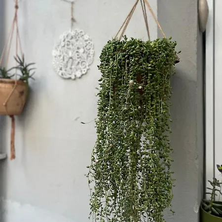 Garden House & Private House With Garden فتحية