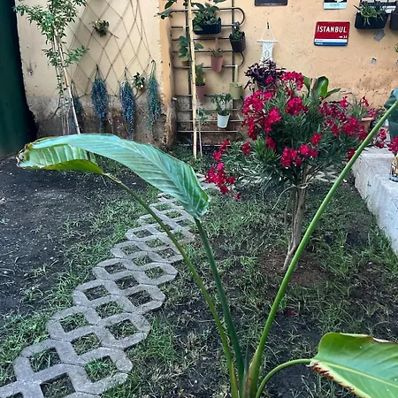 Garden House & Private House With Garden