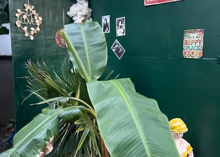 Garden House & Private House With Garden Lejlighed