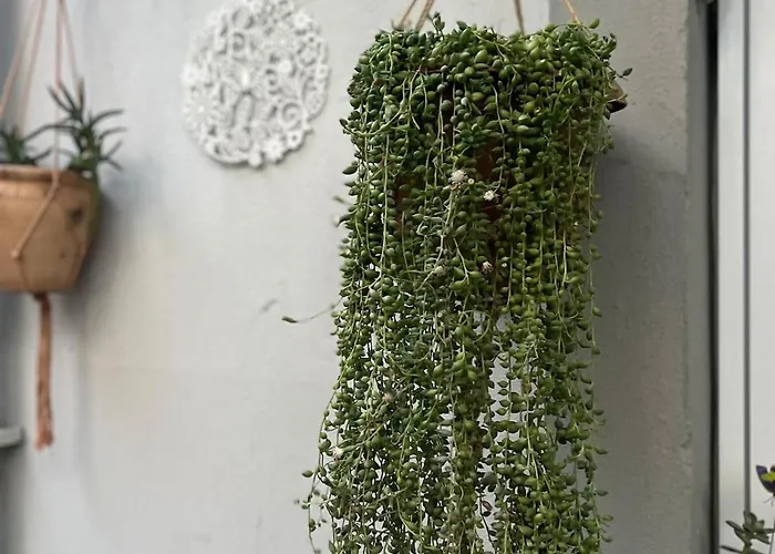 Garden House & Private House With Garden Fethiye