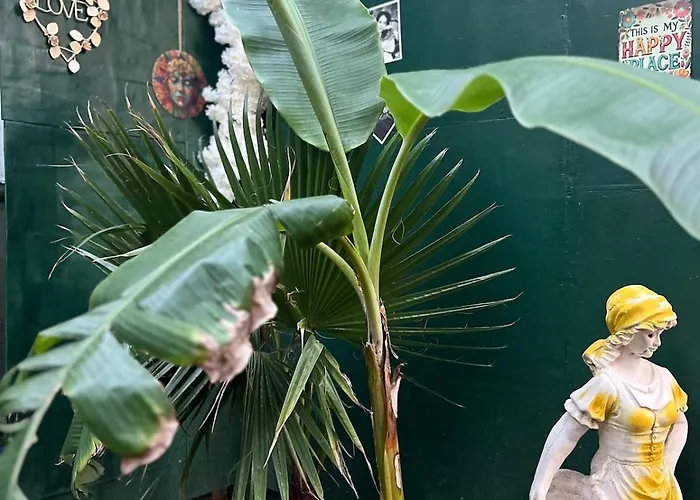 Garden House & Private House With Garden Lejlighed