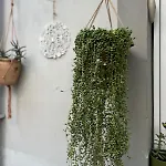 Garden House & Private House With Garden 페티예