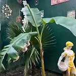 Garden House & Private House With Garden 아파트